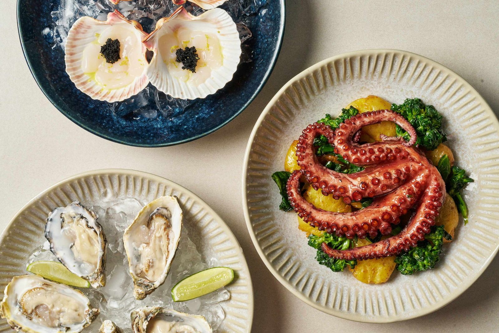 A table of scallops, oysters on ice, and charred octopus